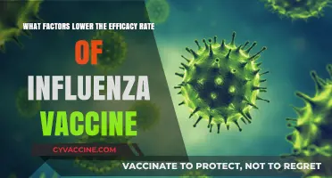 Understanding Factors That Reduce Influenza Vaccine Effectiveness