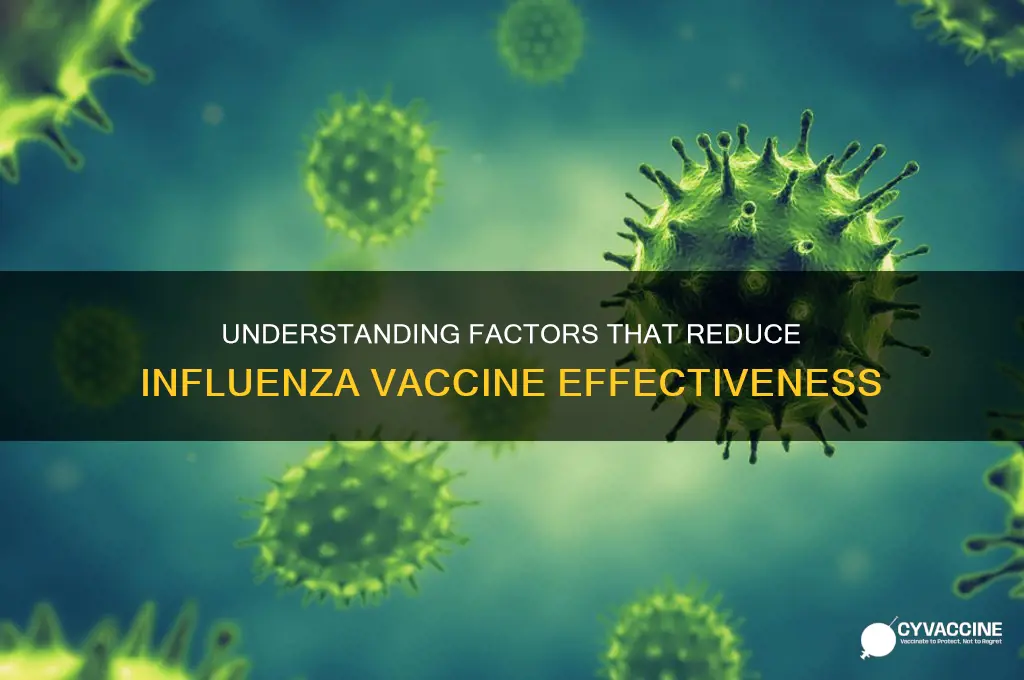 what factors lower the efficacy rate of influenza vaccine