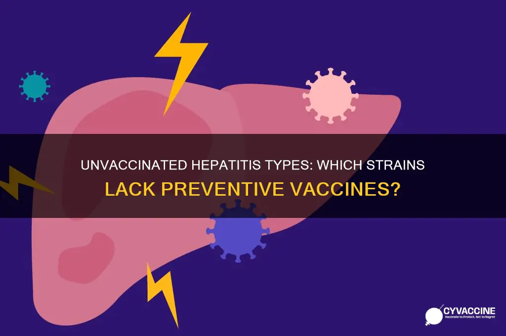 what form of hepatitis does not have a vaccine