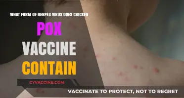 Chickenpox Vaccine: Does It Contain a Herpes Virus Strain?