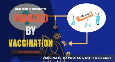Vaccination-Induced Immunity: Understanding Active Protection Against Diseases