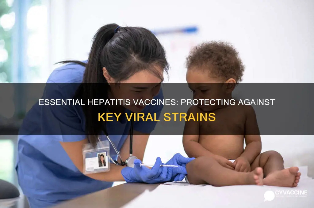 what forms of hepatitis should be vaccinated against