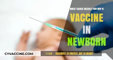 Choosing the Right Needle Gauge for Newborn Hepatitis B Vaccination