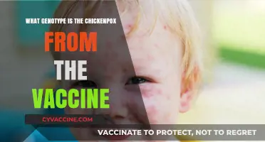 Chickenpox Vaccine Genotype: Understanding the Varicella Zoster Virus Strain
