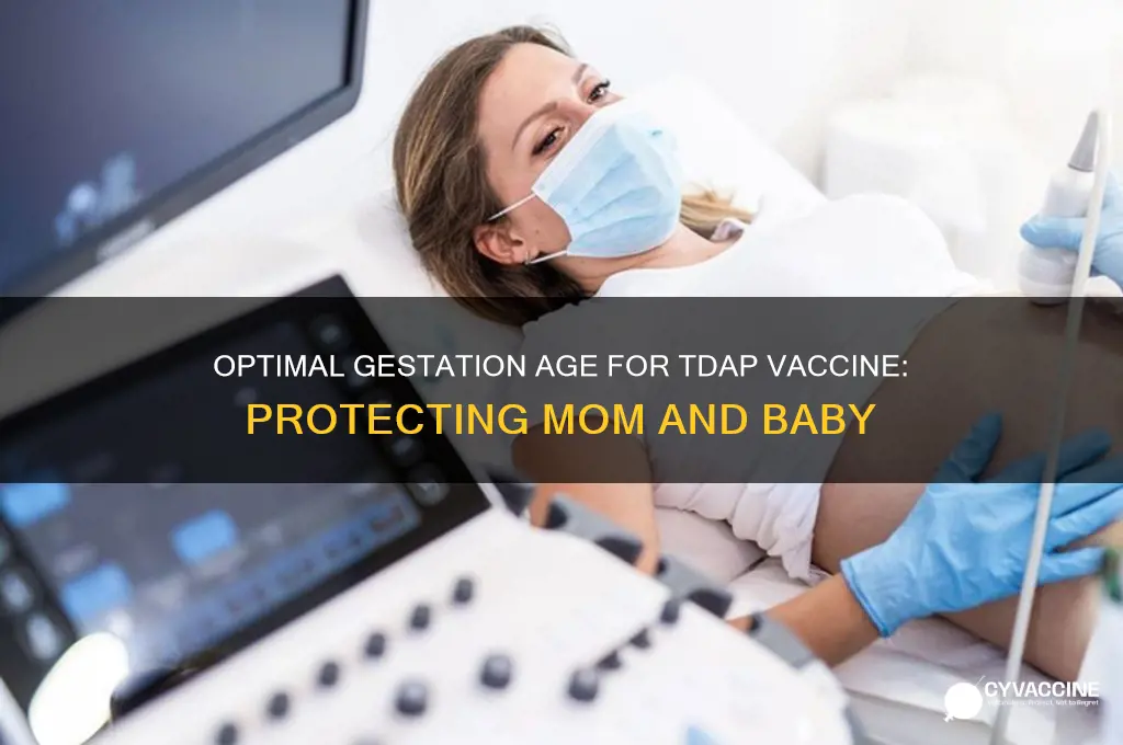 what gestation age should you receive the tdap vaccine