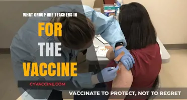 Teachers' Vaccine Priority Group: Understanding Their Placement in Rollout Plans