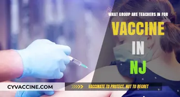 NJ Teachers' Vaccine Group: Understanding Eligibility and Prioritization
