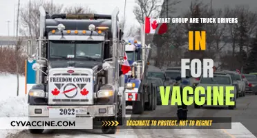 Which Vaccine Priority Group Includes Truck Drivers? A Breakdown