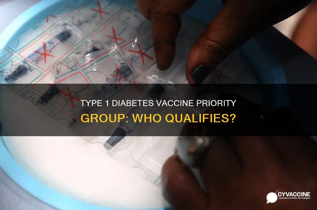 what group are type 1 diabetes in for vaccine