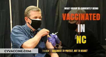 NC's COVID-19 Vaccine Rollout: Current Priority Group and Eligibility