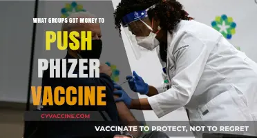 Unveiling Pfizer Vaccine Promotion: Which Groups Received Funding?