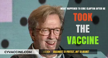 Eric Clapton's Post-Vaccine Journey: Health, Music, and Controversy Explained