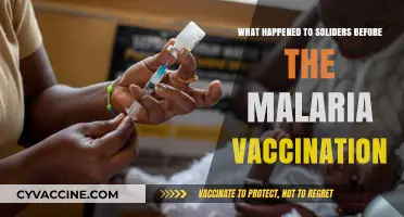 Battling Malaria: The Pre-Vaccination Struggles of Soldiers on Duty