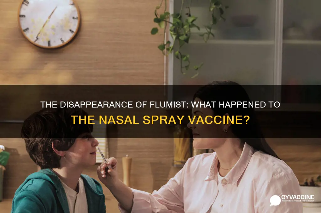 what happened to the flumist nasal spray vaccine