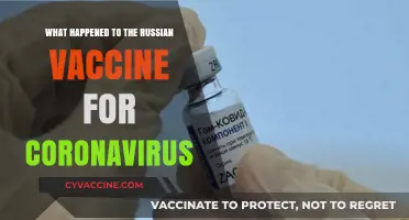 The Fate of Russia's COVID-19 Vaccine: Success or Setback?