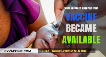 Polio Vaccine Arrival: A Turning Point in Global Health History