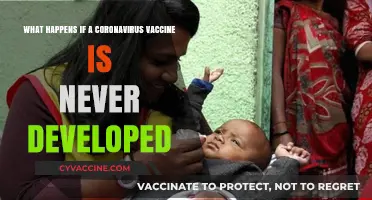 Life Without a COVID-19 Vaccine: Long-Term Impacts and Adaptations