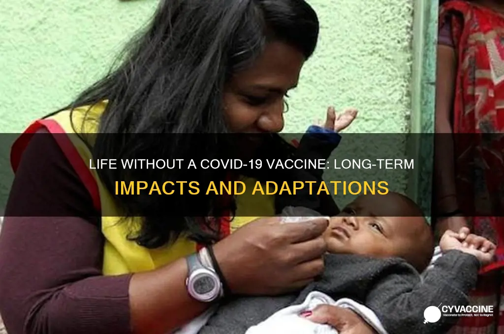 what happens if a coronavirus vaccine is never developed