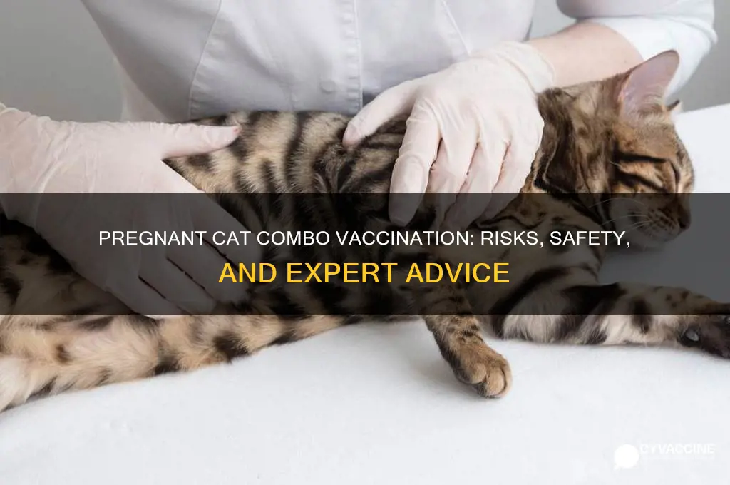 what happens if a pregnant cat is combo vaccinated