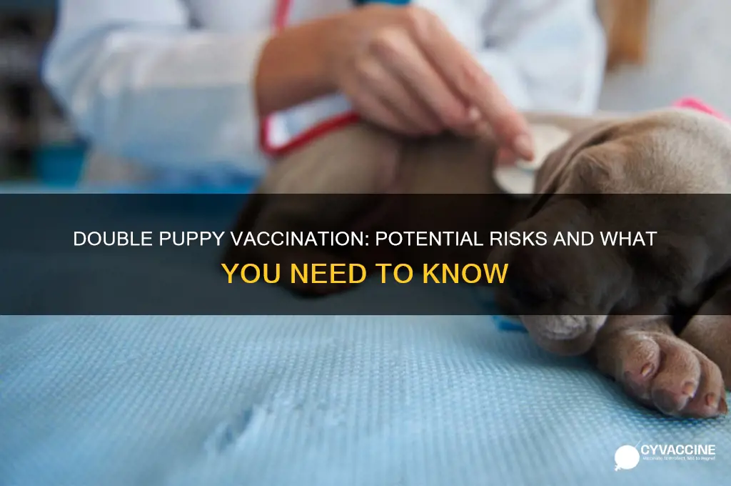 what happens if a puppy is vaccinated twice