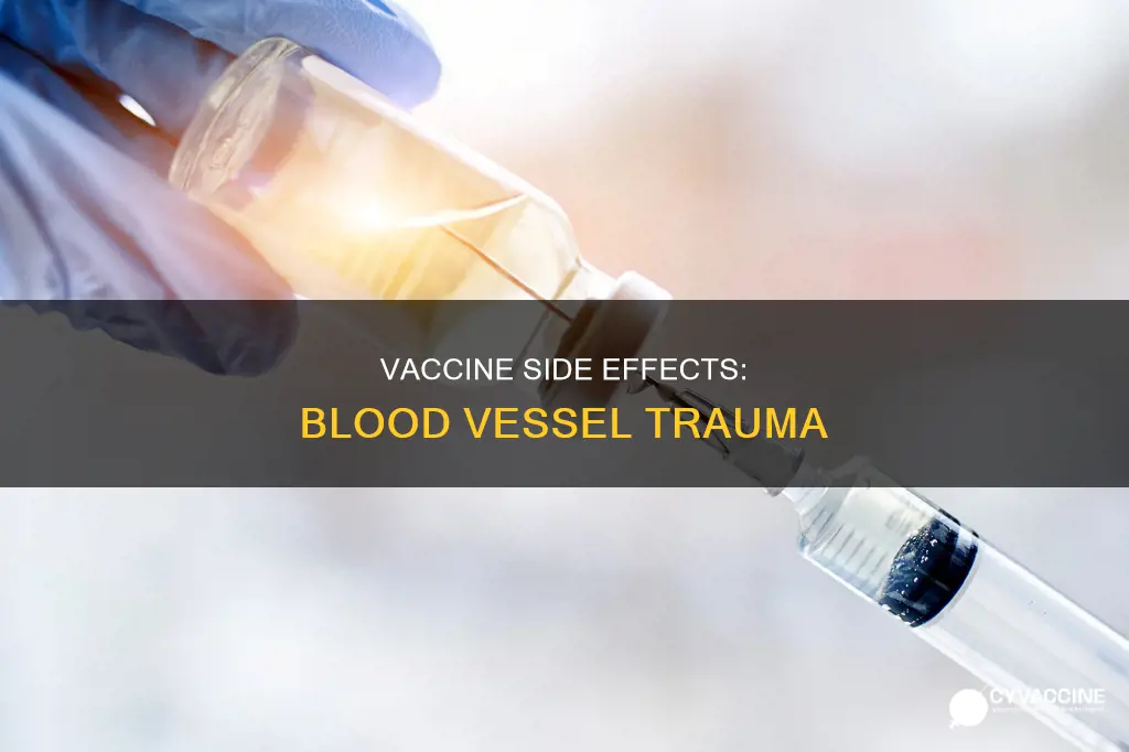 what happens if a vaccine hits a blood vessel