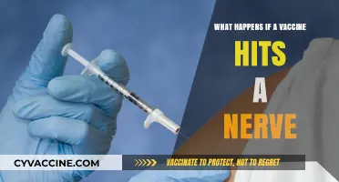 Vaccine Nerve Injury: Risks, Symptoms, and What You Need to Know
