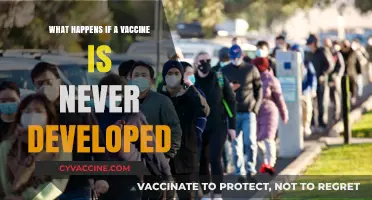 A World Without Vaccines: Exploring the Consequences of No Cure