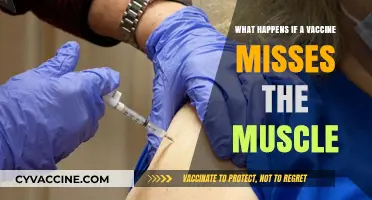Vaccine Administration Error: Consequences of Missing the Muscle During Injection