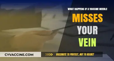 Vaccine Needle Misses Vein: What Happens and How to Handle It