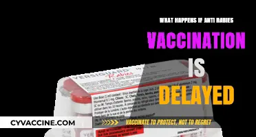 Delayed Anti-Rabies Vaccination: Risks, Consequences, and Urgent Actions