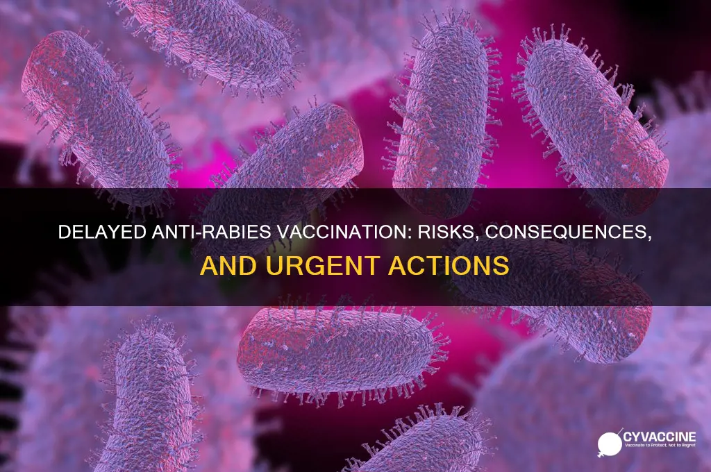 what happens if anti rabies vaccination is delayed