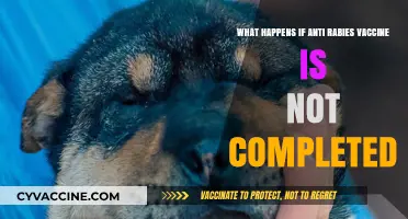 Skipping Anti-Rabies Vaccine Doses: Risks and Consequences Explained