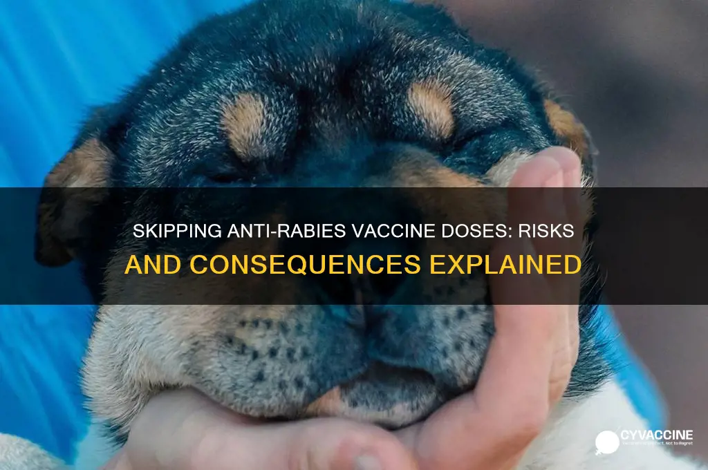 what happens if anti rabies vaccine is not completed