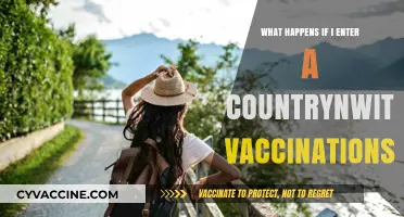 Traveling Without Vaccinations: Risks, Consequences, and What to Expect