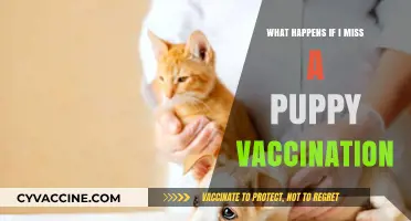 Skipping Puppy Vaccinations: Risks, Consequences, and Prevention Tips
