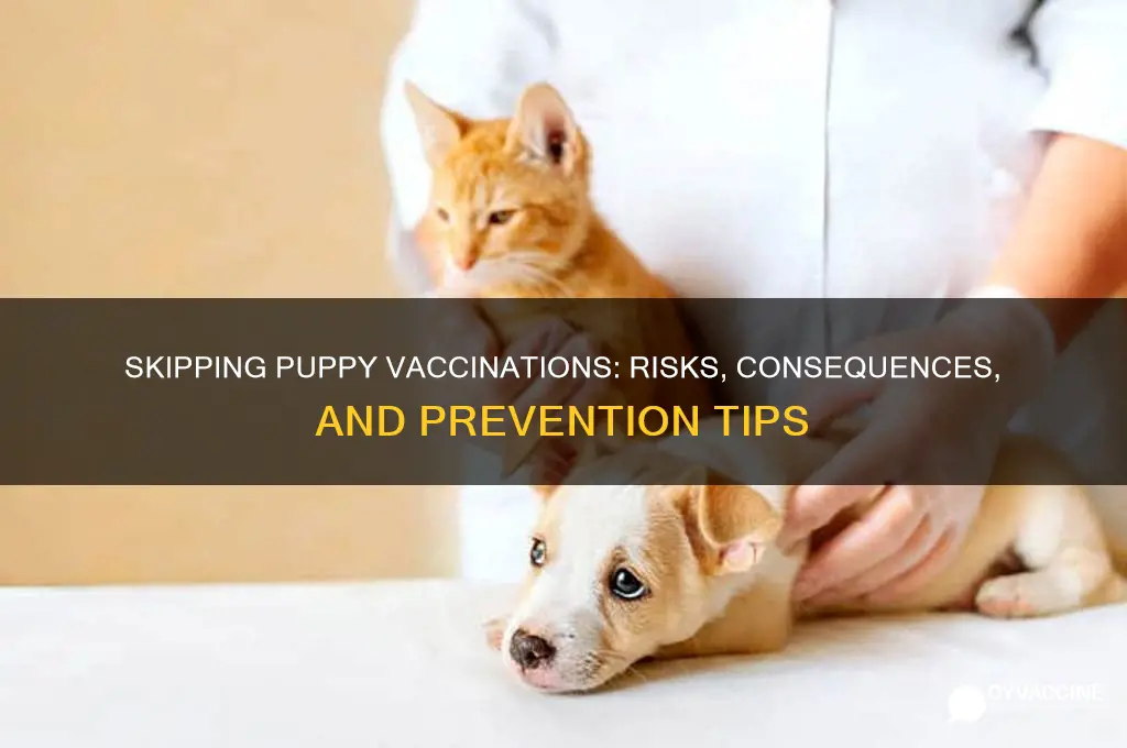 what happens if i miss a puppy vaccination
