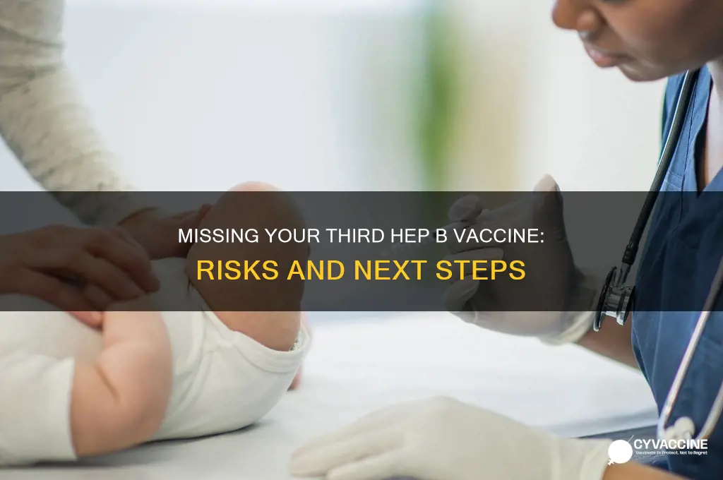 what happens if i miss my 3rd hep b vaccine