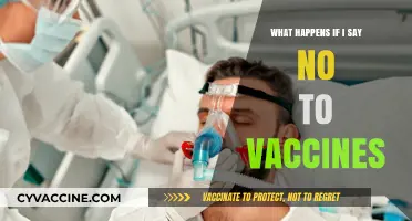 Saying No to Vaccines: Risks, Consequences, and Public Health Impact