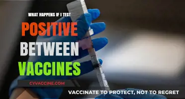 Testing Positive Between Vaccines: What to Expect and Next Steps