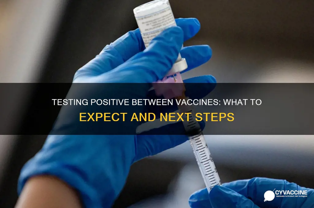 what happens if i test positive between vaccines