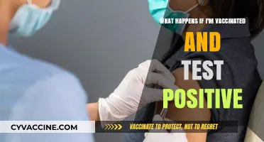 Vaccinated and Positive: Understanding COVID-19 Breakthrough Infections and Next Steps