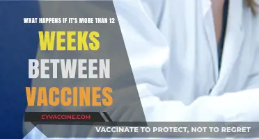 Extended Vaccine Intervals: Impact of Delays Beyond 12 Weeks