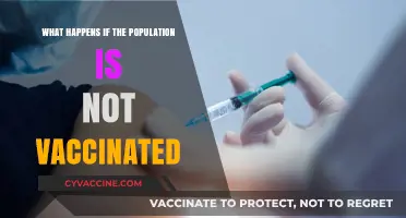Unvaccinated Populations: Risks, Outbreaks, and Public Health Consequences Explained