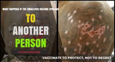 Smallpox Vaccine Transmission: Risks and Consequences of Accidental Spread