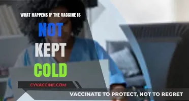 Vaccine Storage Failures: Risks of Unrefrigerated Doses Explained