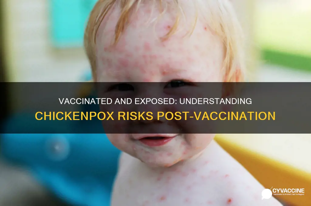 what happens if vaccinated person is exposed to chicken pox