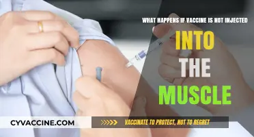 Incorrect Vaccine Administration: Risks of Missing the Muscle Injection