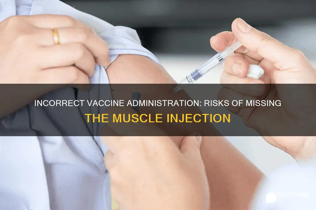 what happens if vaccine is not injected into the muscle