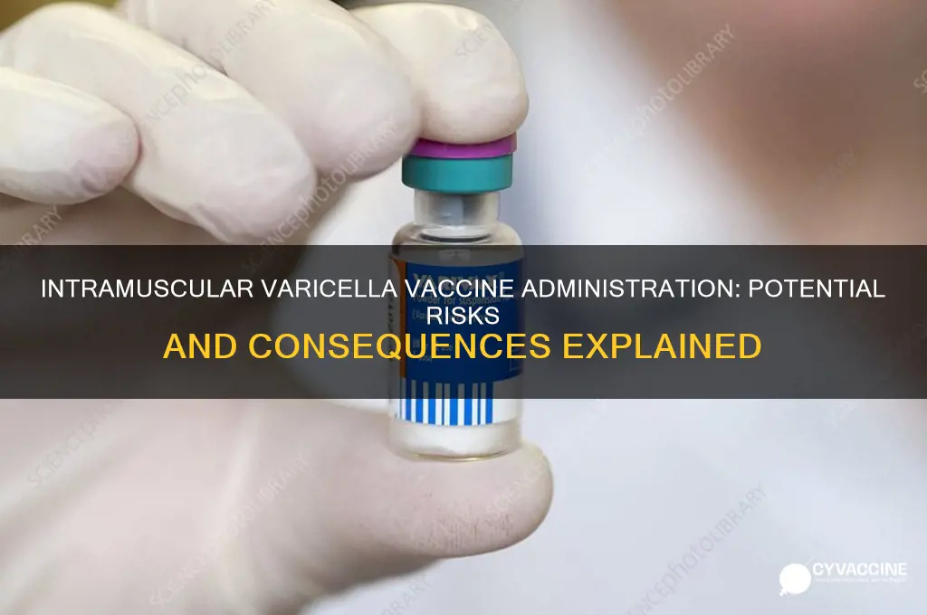 what happens if varicella vaccine is administered intramuscularly