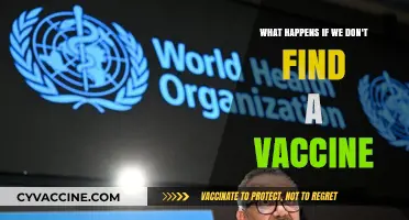 No Vaccine, No Immunity: The Looming Global Health Crisis
